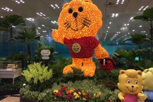 Changi Airport (SIN), Singapore – the secret food hall of Terminal 3 Changi Airport (SIN), Singapore – the secret food hall of Terminal 3